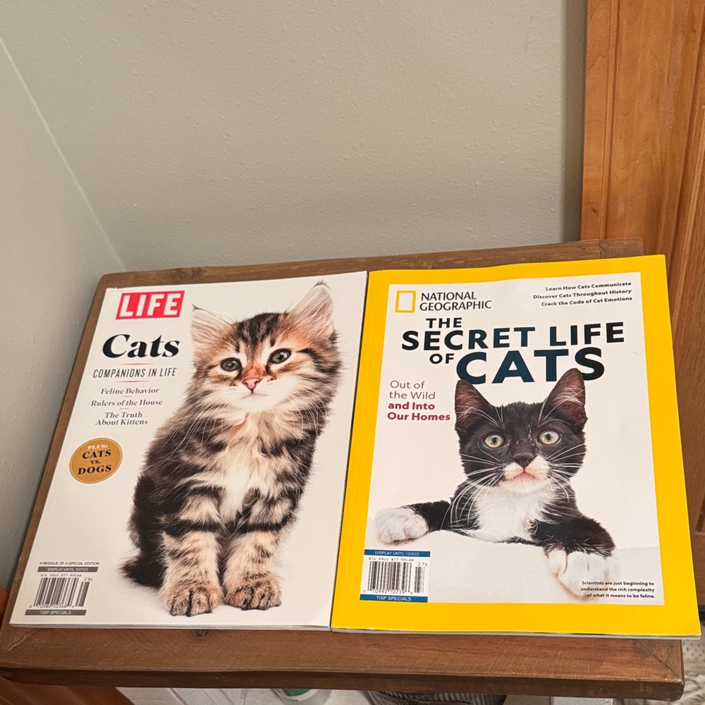 Secret Life of Cats and Cats Companions in Life Magazines - New